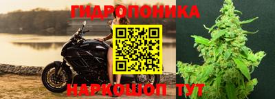 jwh Донской