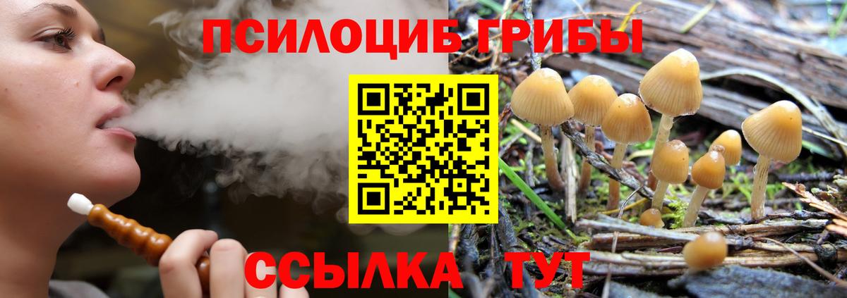 Псилоцибиновые грибы ЛСД Лыткарино